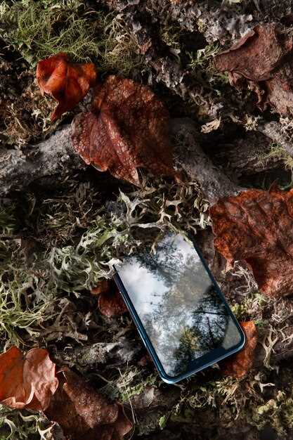 Durability and Weather Resistance: Which is Better for Harsh Environments?