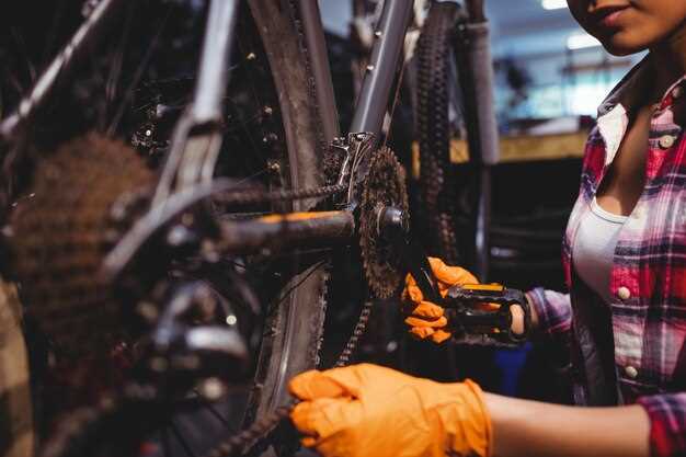 2. Lubricating the Chain