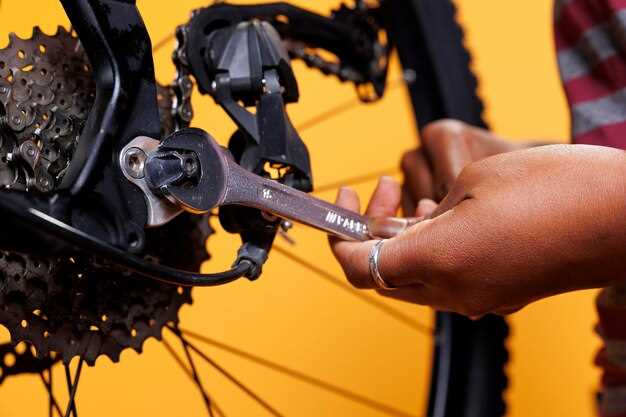 Chain Maintenance – Clean, Lube, and Adjust
