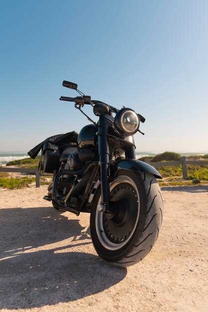 Lessons Learned from Building a Custom Motorcycle: Challenges and Triumphs