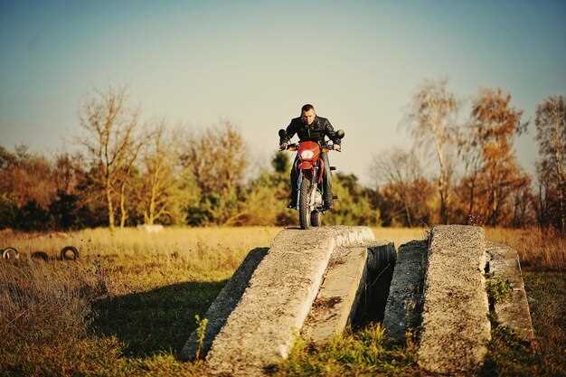 Comparative Analysis of Popular Dual Sport Models
